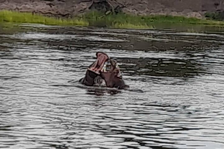 Sunset Cruises on the Zambezi River 2