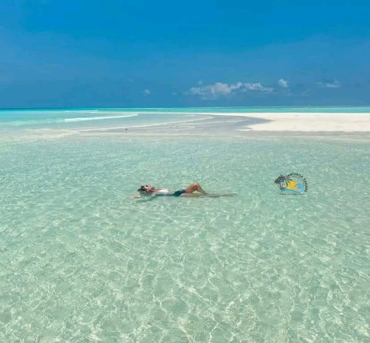 Zanzibar Prison Island Giant Big Tortoise Tour