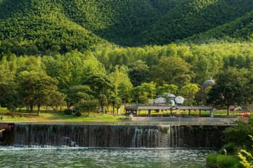 Yixing Bamboo Sea and Zisha Teapot Cultural Experience from Shanghai