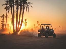 ½ Day : Buggy Adventure in Desert & Palms | Private & Luxury 5