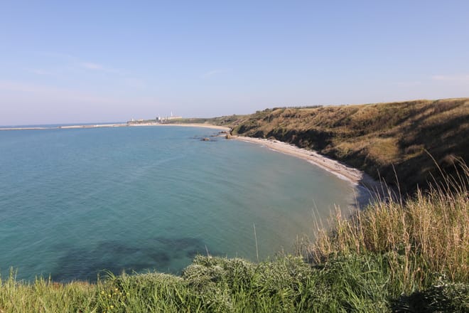 Panoramic view