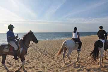 Half-Day Horse Riding in Kalpitiya