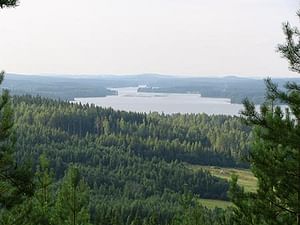 Guided Forest trek