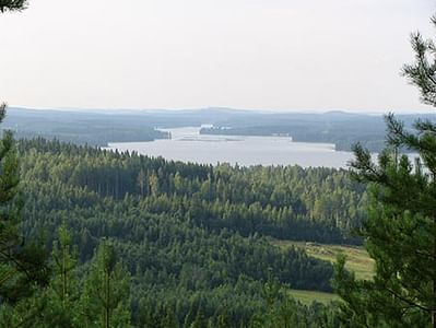 Varjola Patikkaretki Oitinmäen luontoon Laukaa