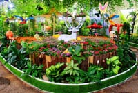  Dubai Butterfly Garden Admission Ticket 2