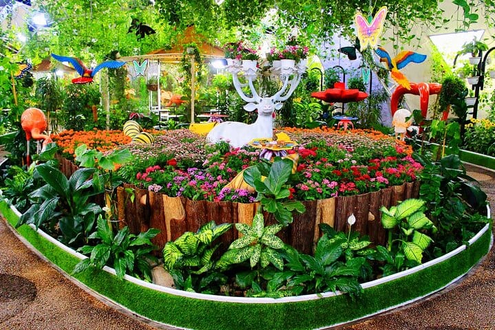  Dubai Butterfly Garden Admission Ticket 2