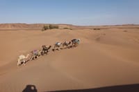 Camel Trek Morocco 8 Days 7