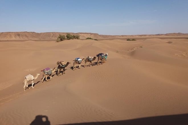Camel Trek Morocco 8 Days 7