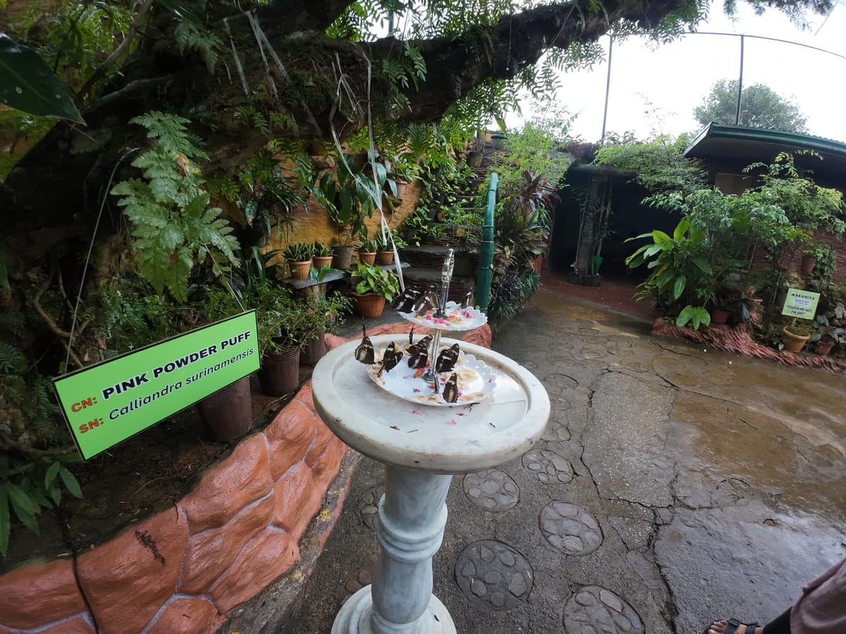 2in1 half day city tour with museum