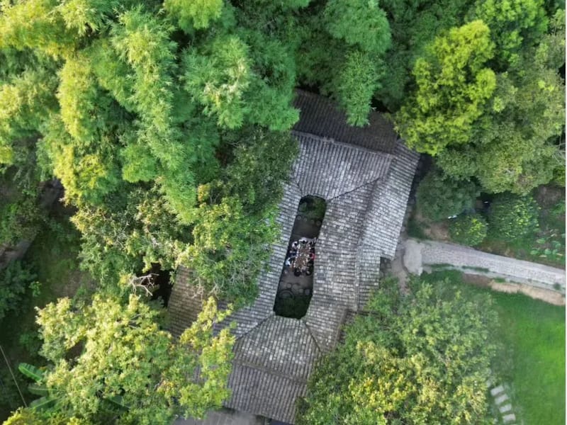 Chengdu: Fengming Village & Jiezi Town Private Day Trip