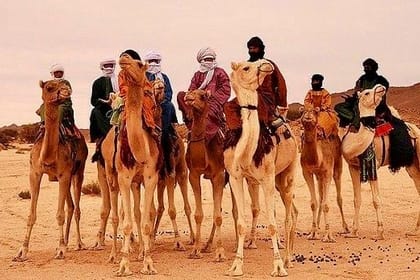Marrakesh camel ride with dinner show