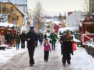 The Icelandic Christmas Advent Driving Tour, photo 12