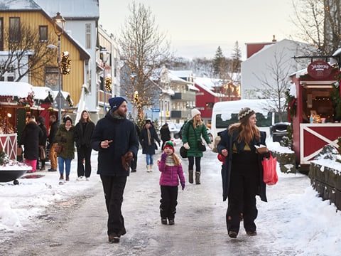 The Icelandic Christmas Advent Driving Tour, photo 12