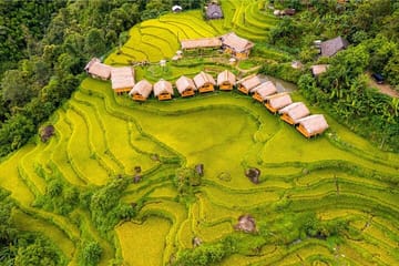 5-Day Private Tour of Ha Giang and Hoang Su Phi from Hanoi