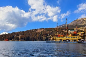 Tokyo to Hakone Customizable English Guided Private Tour