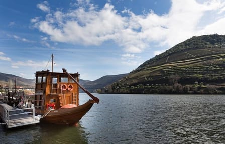 Private Tour From Porto: Douro Valley Wine Tour