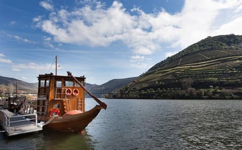 Private Douro Valley Wine Tour from Porto by Minivan