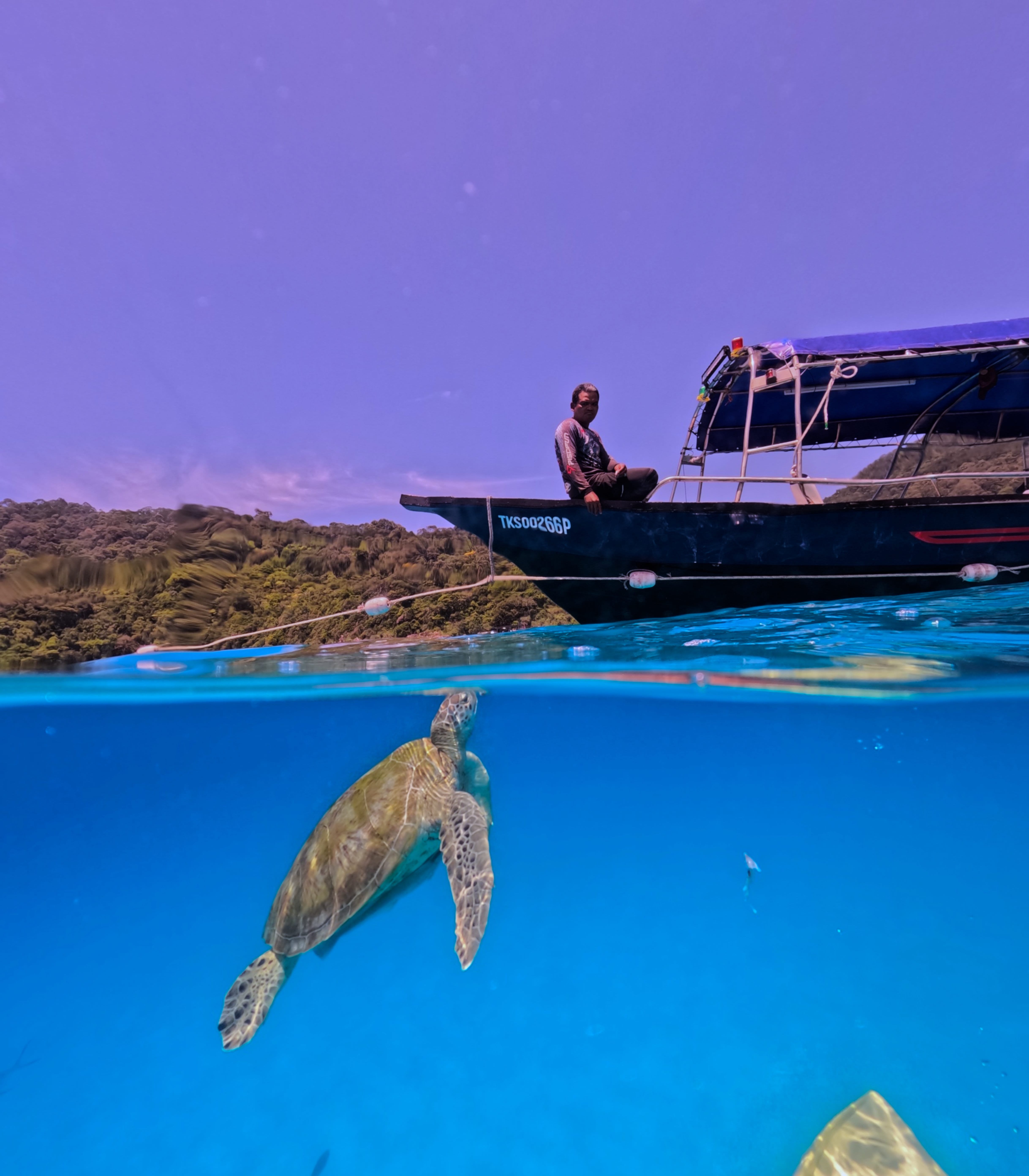 Crystal clear water kind of day