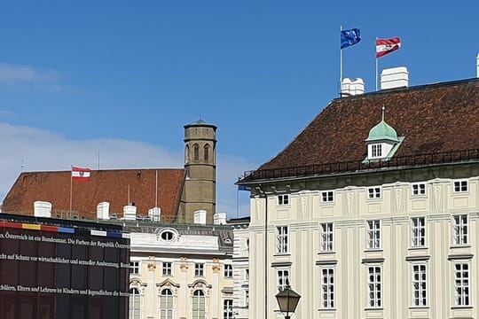 Vienna at your disposal - Private tour with Van, In English German. Italian and Spanish