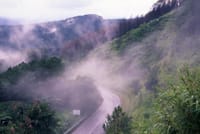 Doi Tung & Royal Villa 2