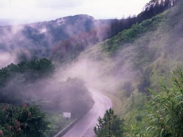 Doi Mae Salong & Akha Hilltribe Village Tour