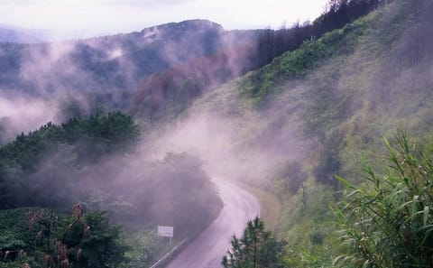 Doi Tung and Royal Villa Guided Tour in Chiang Rai