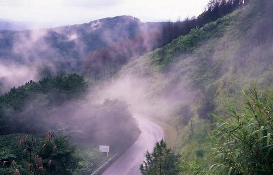 Doi Tung & Royal Villa
