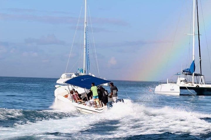 5 tours in 1 (Eco Farm/Horseback/City Tour/Buggy/Zipline)