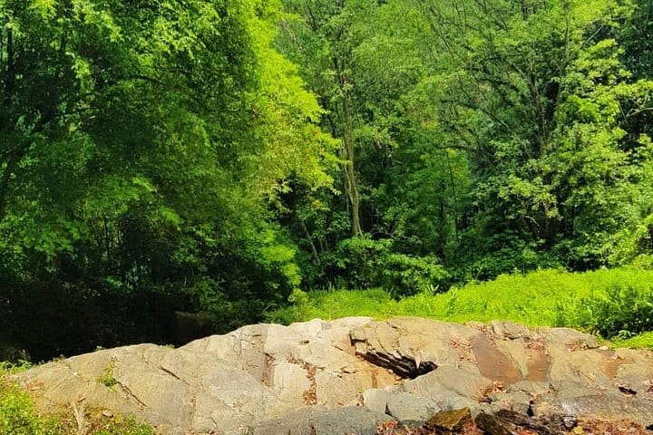 Para Motoring with Private Return Transfers