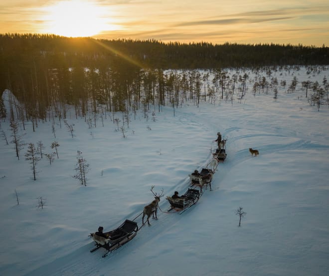 Long Reindeer Safari in the nature of Lapland (sleigh ride about 50-60 min)