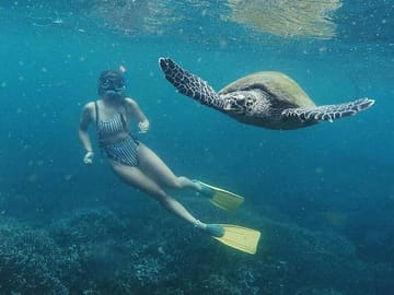 Snorkeling Safari in Mirissa