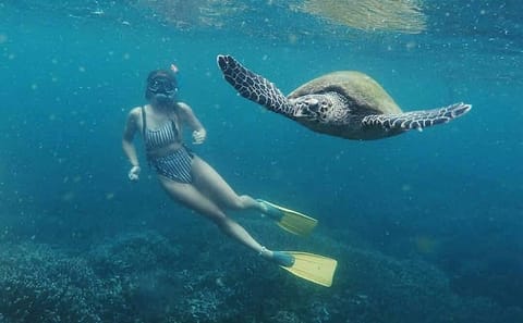 Snorkeling Safari in Mirissa