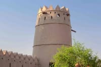 Discover Al Ain Forts and Oasis from Dubai 6