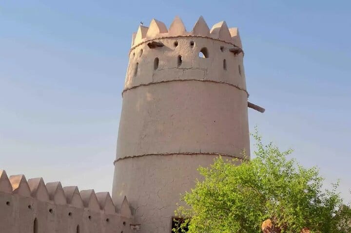 Discover Al Ain Forts and Oasis from Dubai 6