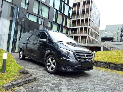 Reykjavik City Tour Experience, photo 5