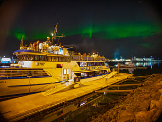 Golden Circle & Northern Lights by Boat Combo Tour, photo 30