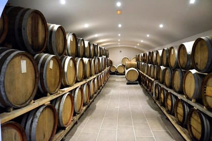 Private All-day Santorini Tour with Archeology and Wine Tasting