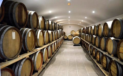 Private Santorini Tour: Akrotiri Ruins and Wine Tasting