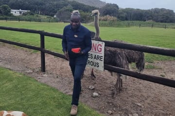Private Tour of Cape Point, Hout Bay, and Penguins