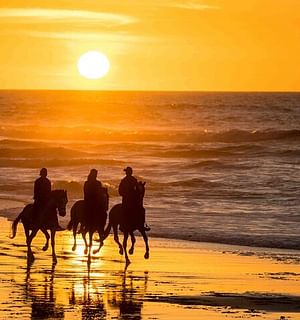 Essaouira Horse ride & Pick up 