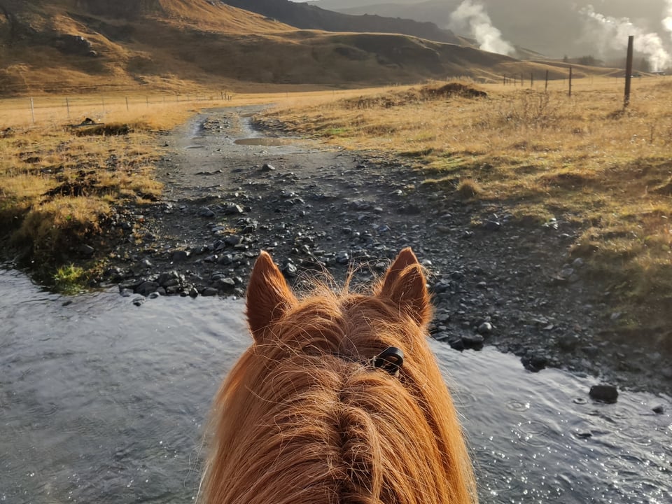 03C - Horses and Hot Springs — Eldhestar