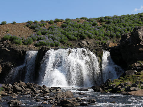Private Silver Circle Day Tour with Hvammsvik Baths, photo 2