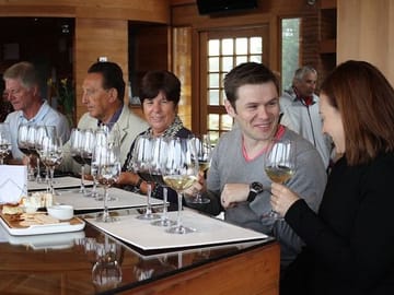 Casablanca Valley Wine Tour from Santiago