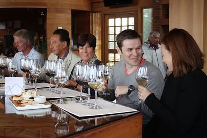 Casablanca Valley Wine Tour from Santiago