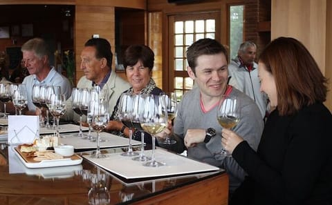 Casablanca Valley Wine Tour from Santiago with Tastings