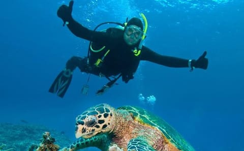 Scuba Diving Tour in the Arabian Gulf, Dubai