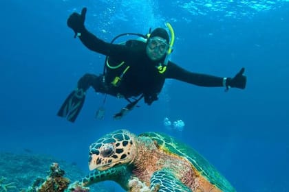 Dubai : Scuba Diving in Arabian Gulf Marine Life