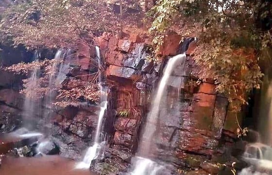 From Kolkata-4 days Saranda Forest Elephant corridor Tour