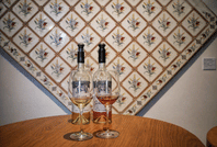 From Lisbon: Évora Wine, Bones Chapel & Cork Experience 4