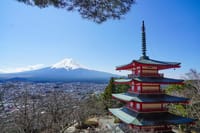 Mt. Fuji Private Day Tour: Wasabi Farm, Nature & Scenic Views  5